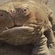 John Carter - Zwischen zwei Welten : photo Andrew Stanton