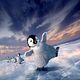 Happy Feet 2 : photo