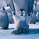 Happy Feet 2 : photo