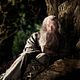 Der Hobbit: Eine unerwartete Reise : photo Peter Jackson