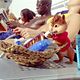 Alvin und die Chipmunks 3: Chipbruch : photo Mike Mitchell