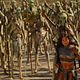 John Carter - Zwischen zwei Welten : photo Andrew Stanton, Lynn Collins