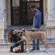 <b>Lake Bell</b> Bild 