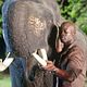 <b>Djimon Hounsou</b> Bild : Elephant White