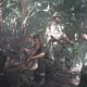 Tunnel Rats : photo