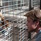 Wir kaufen einen Zoo : photo Cameron Crowe, Matt Damon
