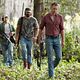 <b>Alexander Skarsgård</b> Bild : Straw Dogs - Wer Gewalt sät