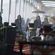 The Secret Circle : photo Britt Robertson, Chris Zylka, Phoebe Tonkin, Shelley Hennig