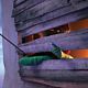 Der Lorax (3D) : photo Chris Renaud, Cinco Paul, Ken Daurio