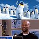 Happy Feet 2 : photo