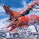Happy Feet 2 : photo George Miller