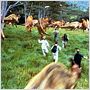 Jurassic Park III