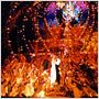 Moulin Rouge