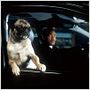 Men in Black II