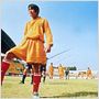 Shaolin Kickers