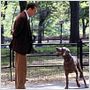 Manhattan Love Story