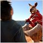Kangaroo Jack