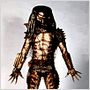 Predator