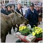 Willkommen in Mooseport
