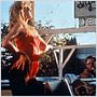 Wild at Heart