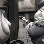 Corpse Bride