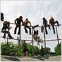 Dogtown Boys