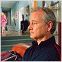 Broken Flowers