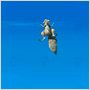 Ice Age 2
