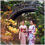 Die Geisha