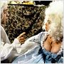Amadeus