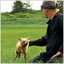 Grizzly Man