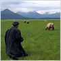 Grizzly Man