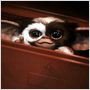 Gremlins - Kleine Monster