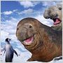 Happy Feet