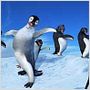 Happy Feet