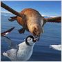 Happy Feet