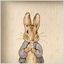 Miss Potter