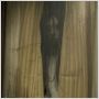 Der Fluch - The Grudge 2