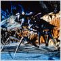 Starship Troopers