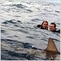 Open Water