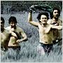 Rang De Basanti - Die Farbe Safran