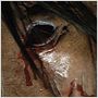 Saw 4