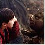Die Geheimnisse der Spiderwicks