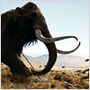 10.000 BC