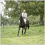 Ein fliehendes Pferd