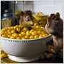 Alvin und die Chipmunks