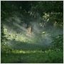 In the Electric Mist