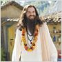 Der Love Guru