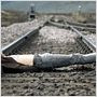 Trainspotting - Neue Helden