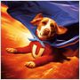 Underdog